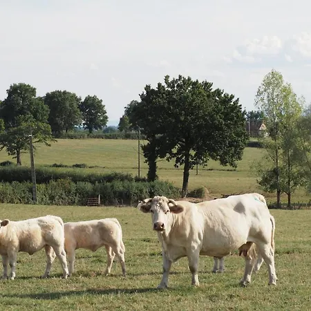 Maison Bourbonnaise, Confort, Nature, Pmr, Proche Loire Et Parcs, 3 Avec Salles De Bain - Fr-1-489-107 * Monetay-sur-Loire